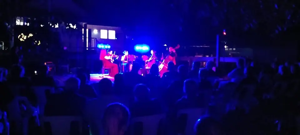 Angel Strings - Linville Progress Association, photo 3